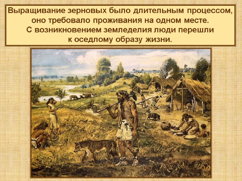 Выращивание зерновых было длительным процессом, оно требовало проживания на одном месте.  С возникновением